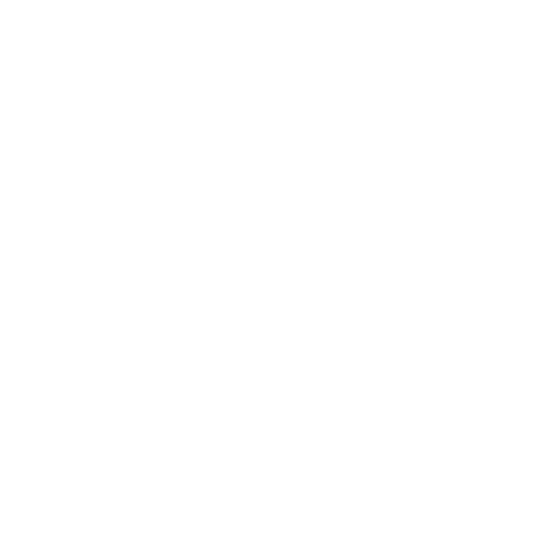 TikTok Ads